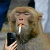 som__like