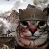 botik_ddnet
