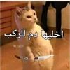 ali_wasfi.77