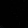 wildann_55