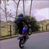frank_yamit