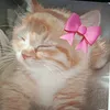 sofi_lol663