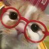 amelia_9082
