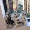 tale.of.the.nine.tale