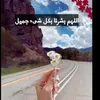 qoaen3