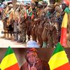 djenebatogo836