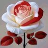 ochin.pakhi287