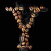 sabren.mahmod1