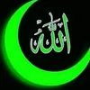 shahgee391