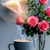 nihal.assinat