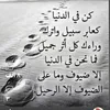 user8181234375669