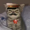 chezabred5