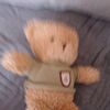 bear_toy5665000