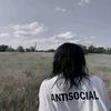 ростек щавел