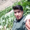 kamal.sedighi