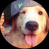 myspamacc67677