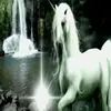 razvrrr46