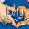 user31599962354565