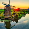 alirifi.amsterdam