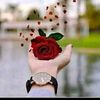 user4002678799004