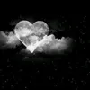 rokaya_240