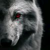 abda_alah