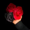 hie__tt