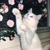 najma_alfic27