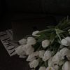 anastasiss_07