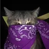 tehildog