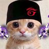 jesenjr24