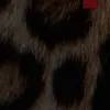hdhdjjejejj