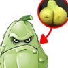 chayote_nalgon