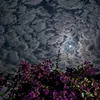 ilaf7_21