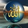 user9623960014181