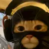 _sg.muzu