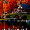 user8017845752593