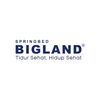 Bigland Springbed