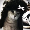 ferr_xddd