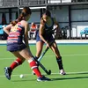 ana.stekooo