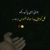 areeb7019