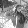 cacaaimupss_0