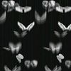 kazea_2