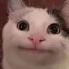 memethaihoa