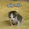 nguyt.hng.trn5