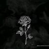 malak.ayman0095