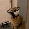 gmeduard
