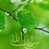 user2195395133985