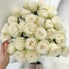 fariza0687