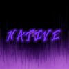 nat1ve_cs2